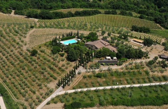 Poggetto in Chianti Classico - Apartment Melo