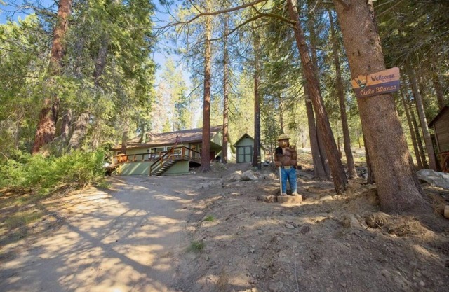 Ponderosa Pines Family-friendly 3-bedroom cabin with Treehouse and Zip-line