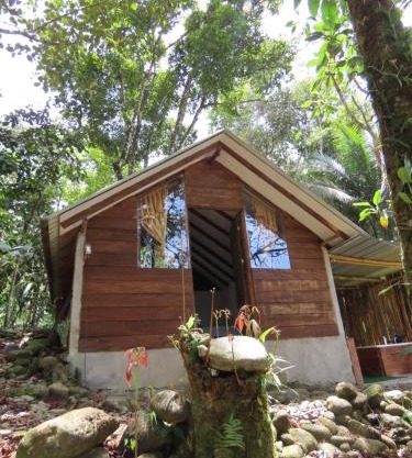 Posadas entre el bosque