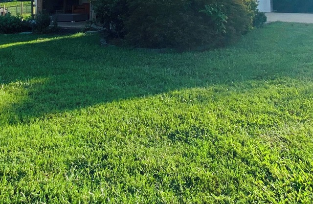 Private 1BR/1BA Open Concept Apartment, professional travelers