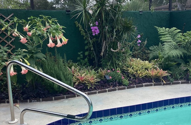 Private home with beautiful pool, ping pong, darts, close to beach and downtown.