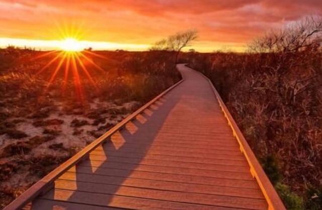 Private Mastic Beach House with Pool, 5 minutes away from Smith Point Beach