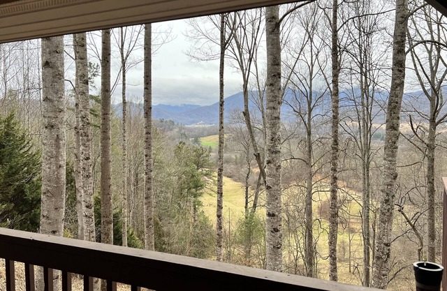 Private Mtn Cottage, w Views, location, Fire Pit, Pet Friendly .Winter Special