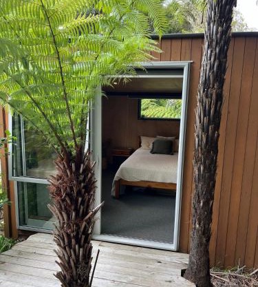 Punga Cabin