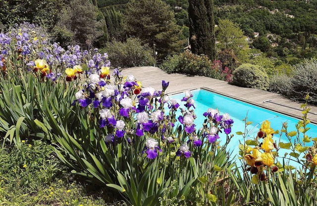 Vacaciones al sol en el interior entre Grasse y Vence