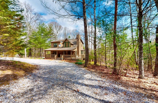 Quiet, dog-friendly cabin with fireplace, game room, mountain view & EV charger