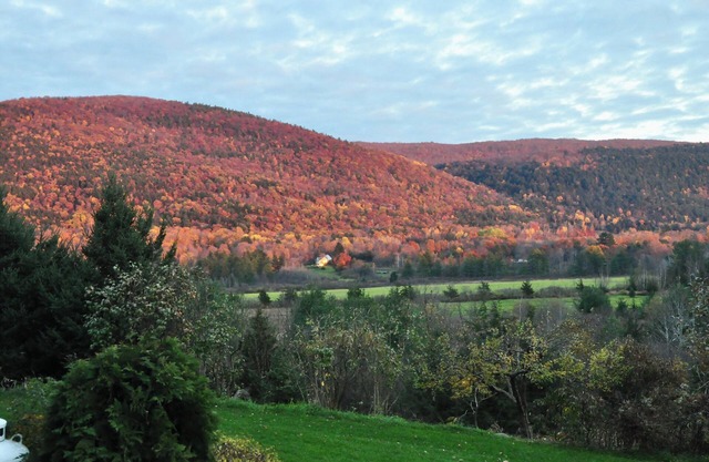 Quiet, sunny apartment with WiFi and southerly views in delightful Middlebury