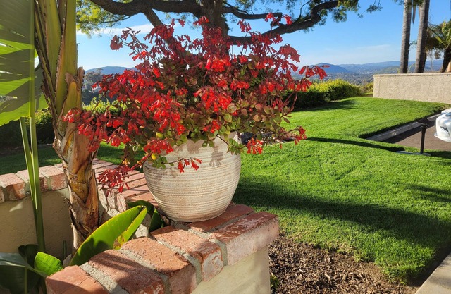 Rancho Bernardo Pacífica Confort con Canyon Vistas