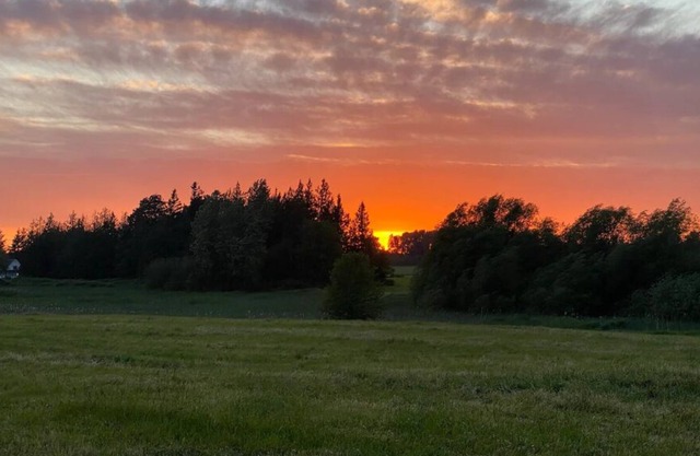 Ravens’ pad campsite at June Bud Farms