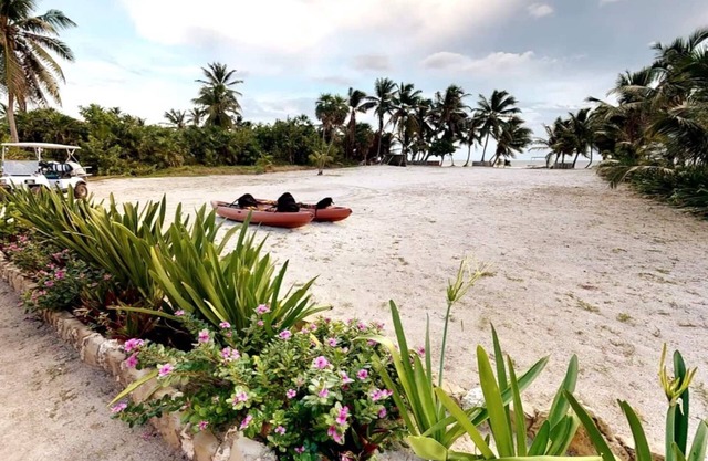 20% Savings Lush Beachfront Villa with Staff by ALOM Estates