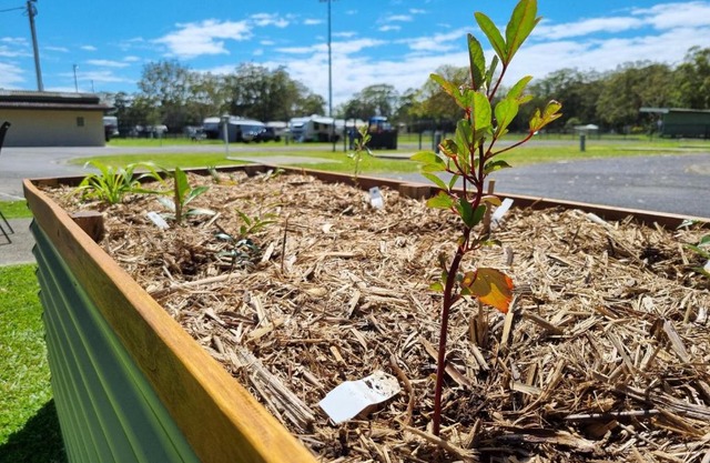 Reflections Coffs Harbour - Holiday Park
