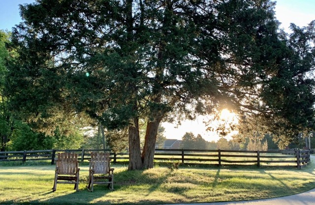 Regal Ranch Retreat *DOG & HORSE FRIENDLY*