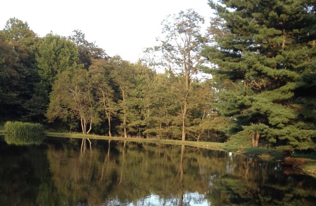 Relájese en este tranquilo paseo marítimo