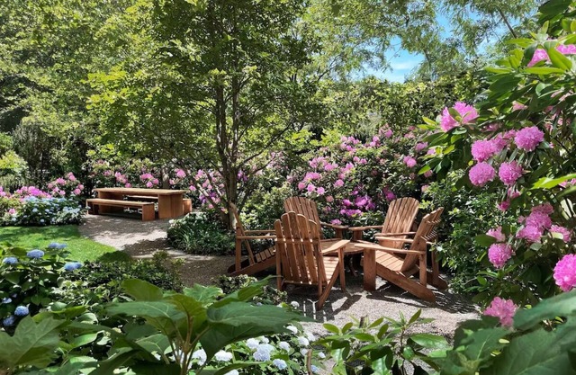 Relax in a King Room with Sofa Bed, Ideal for Your NYC Adventure