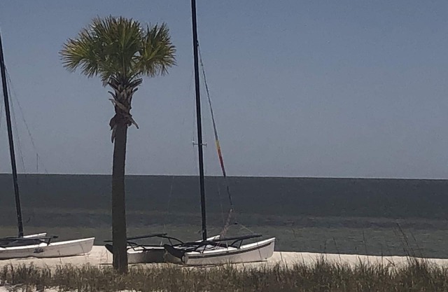 Relaxing Beach Condo with a Pool