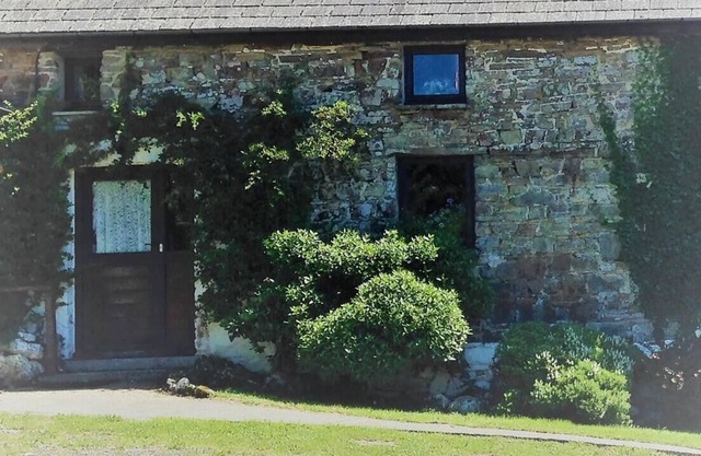 Relaxing holiday in Millpond cottage - Cwmiar