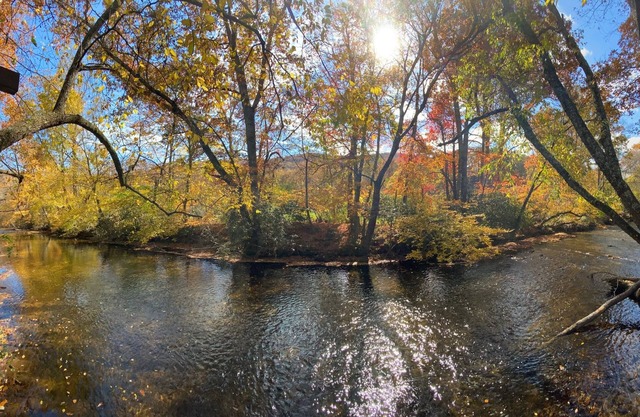 Relaxing Waterfront Retreat, Newly renovated - modern-rustic, near Asheville
