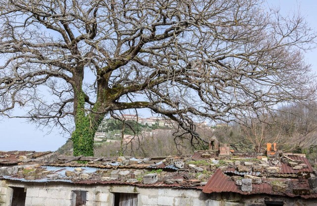 Rifugio dell'Amore e Pace