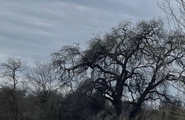 River country home- near Kingsburg