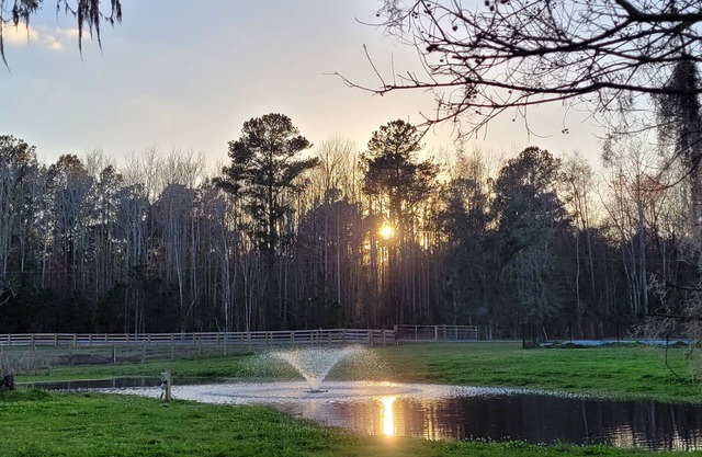 Riverfront Property - TINY HOUSE - Faith Based