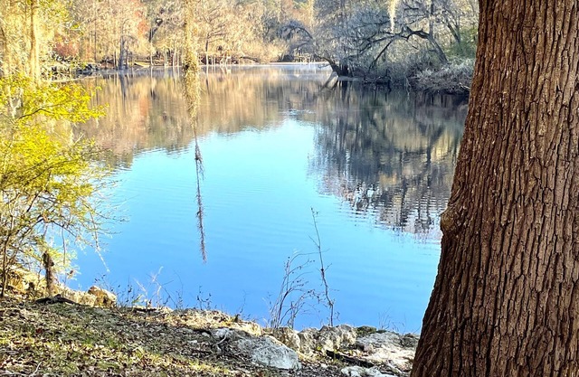 Riverview , Beautiful house on the Santa Fe river!