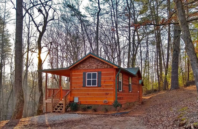 Robin Cabin - Big Bear Cabin Rentals 2 Bedroom/1 Bath Vacation Rental