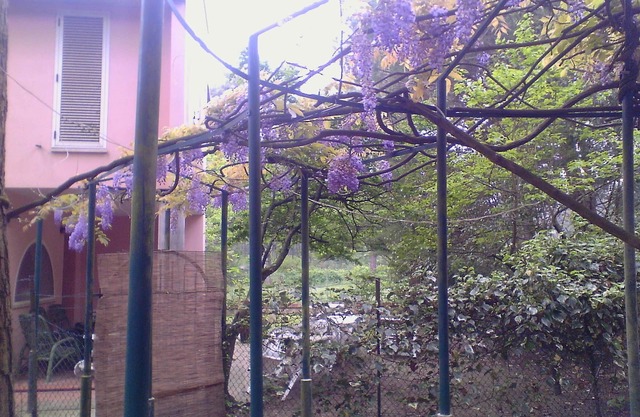 cabaña romántica entre el mar y el bosque de pinos. elegante zona, 9 plazas