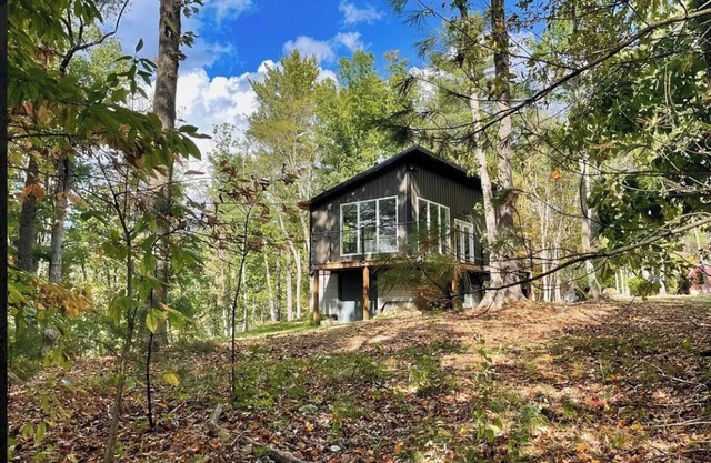 Charming 1BD Forest Retreat with Wifi & Fireplace