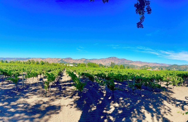 Romantic Luxury 3-BR Modern Farmhouse with EVERYTHING... In Charming Yountville