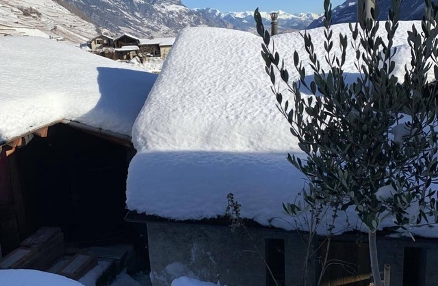 Casa de vacaciones Martigny-Croix para 1 - 2 personas con 1 dormitorio - Chalet de madera