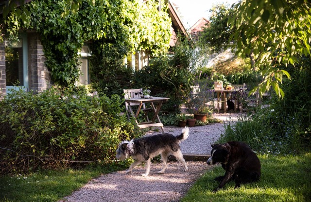 Romántico soleado sur de Devon Lodge Jardín + wifi conjunto de jardines y bosques