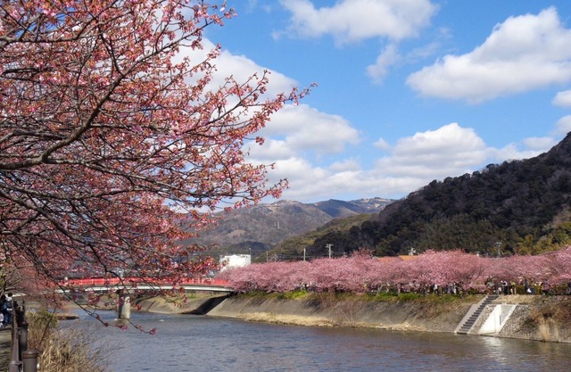 Room 101 Apartment type where you can rent the w / Kamo-gun Shizuoka