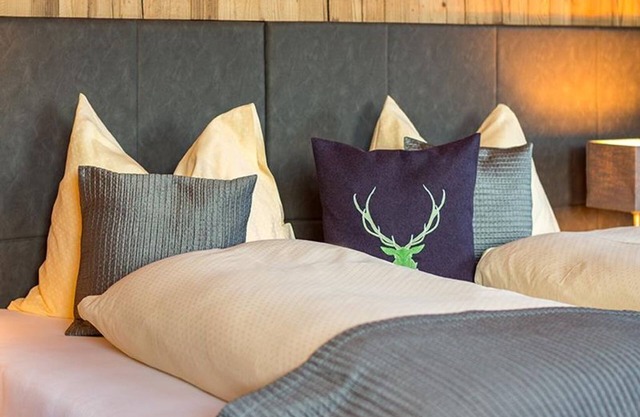 Habitación 102 - El Aparthotel Grünholz