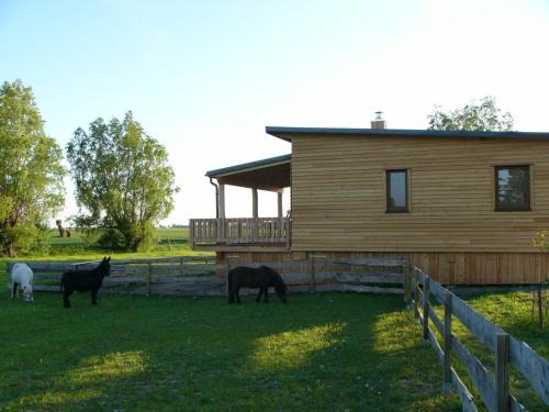 Rustikales Holzferienhaus mit großer Terrasse