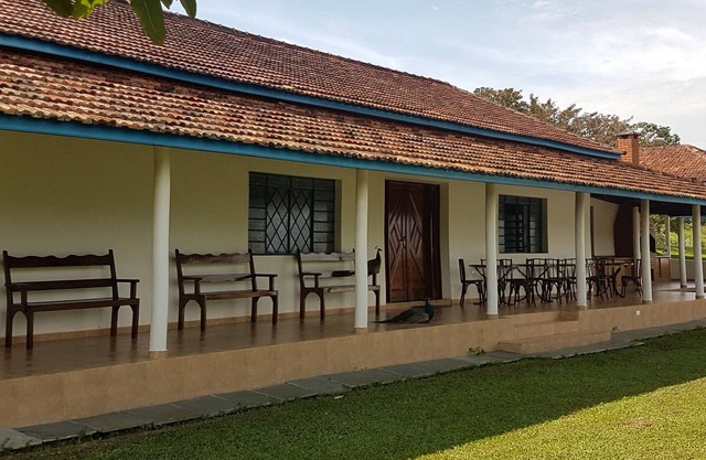 Sítio Santa Filomena São Roque/SP