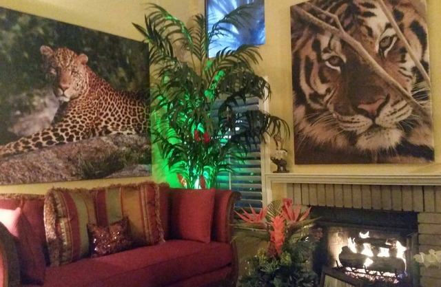 Safari Condo piscina / jacuzzi / Compras y restaurantes cruzando la calle