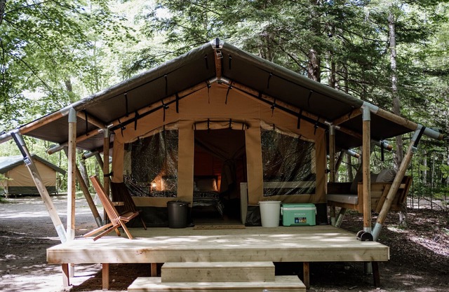 Safari Tent Site 10 | 1 Queen Bed & 1 Bunk Bed | Woods View