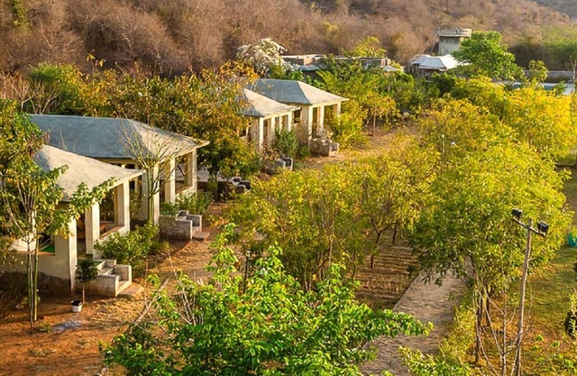 Sariska Farms & Adventure