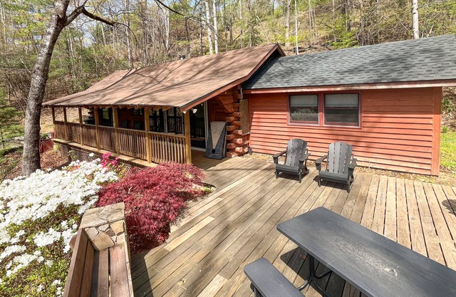 Scenic cabins with fireplaces, children's items, W/D, and AC - dog-friendly