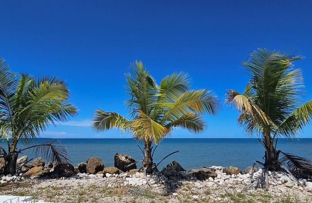 Oceanfront Retreat with Private Pool & Garden