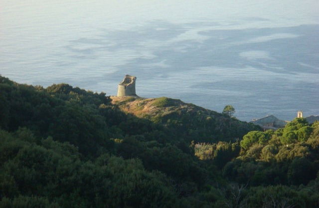 TEMPORADA ALQUILER APARTAMENTO PINO CAP CORSE PARA 4 PERS.