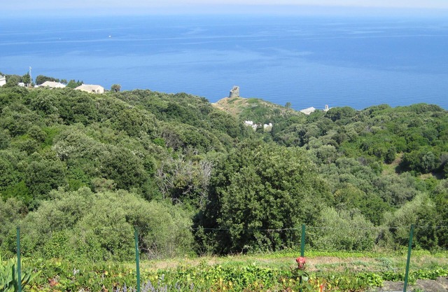 Alquiler por temporada de apartamento en Pino Cap Corse 2/3 personas