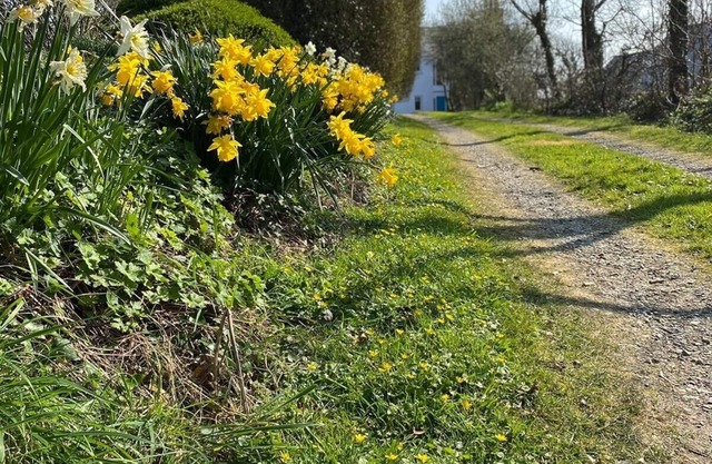 Perfecto para reunirse y explorar la costa de Pembrokeshire.