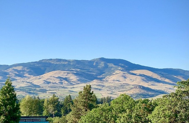 Secluded Treetop Feeling, Spectacular Views! 3 Miles to Downtown Ashland