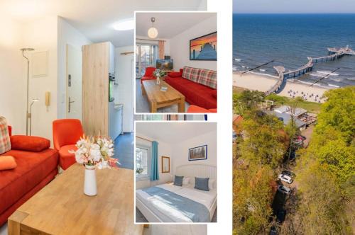 Seeblick Anlage FeWo Lachmöwe