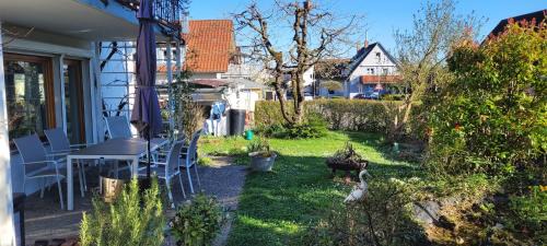 Seeschwalbe