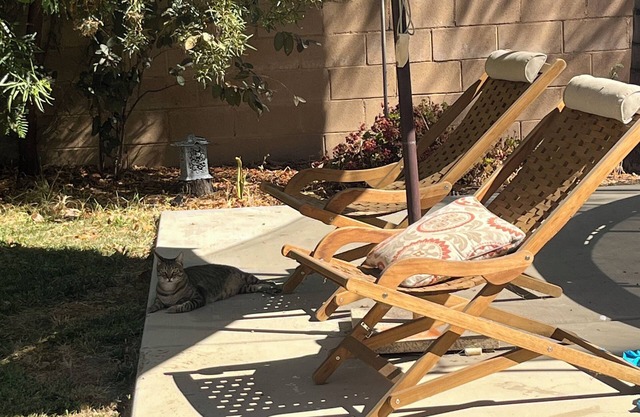 Self Contained, Lake Community, 3 bed, 2 bath 1500 sq ft Apartment