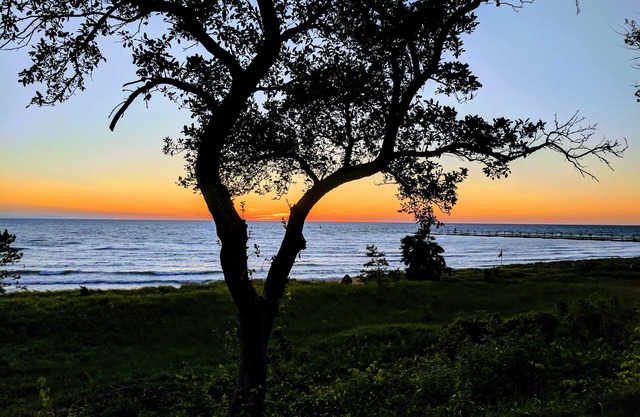 Sereno y cómodo Dune Cottage a la sombra de las dunas del lago Michigan