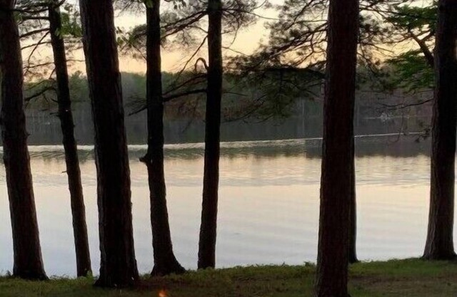 Serene wooded beachfront escape - The Noble Bear