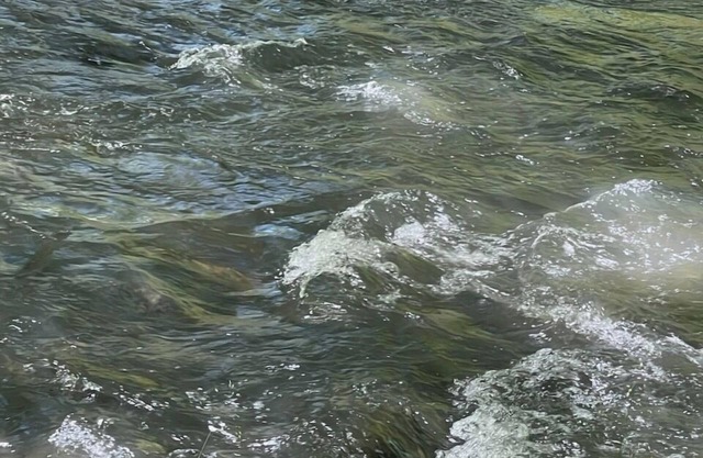 Serenity at Hemptown Creek NEW LISTING